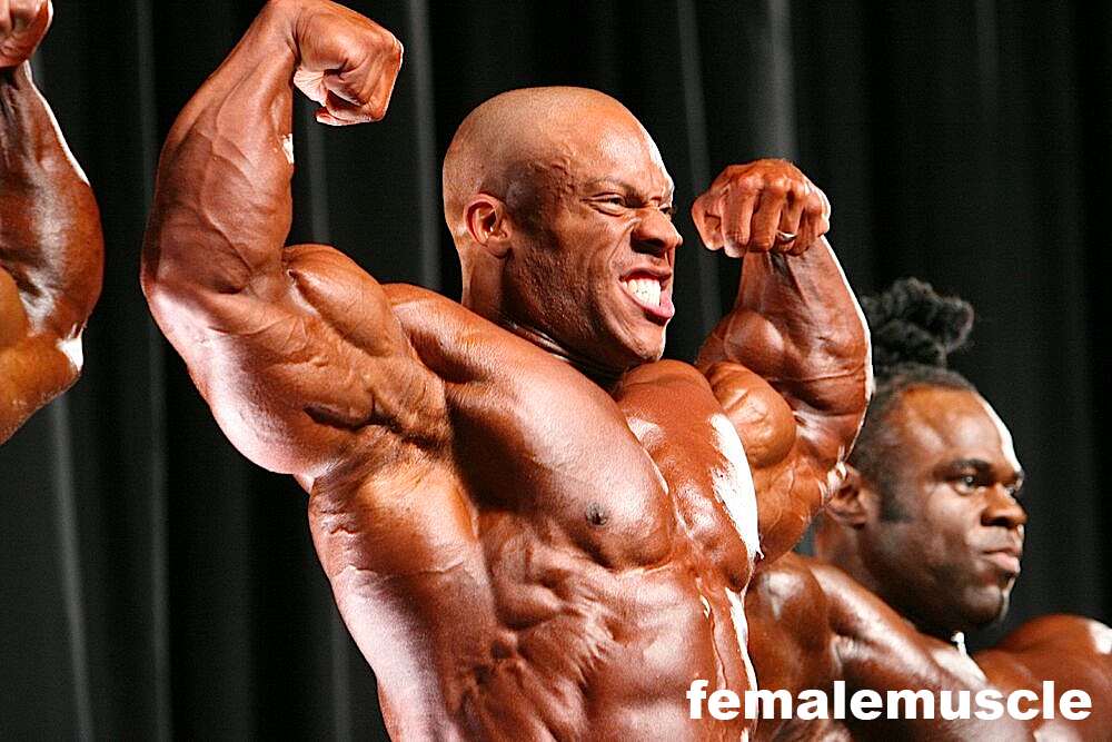 2010 Bodybuilding Images