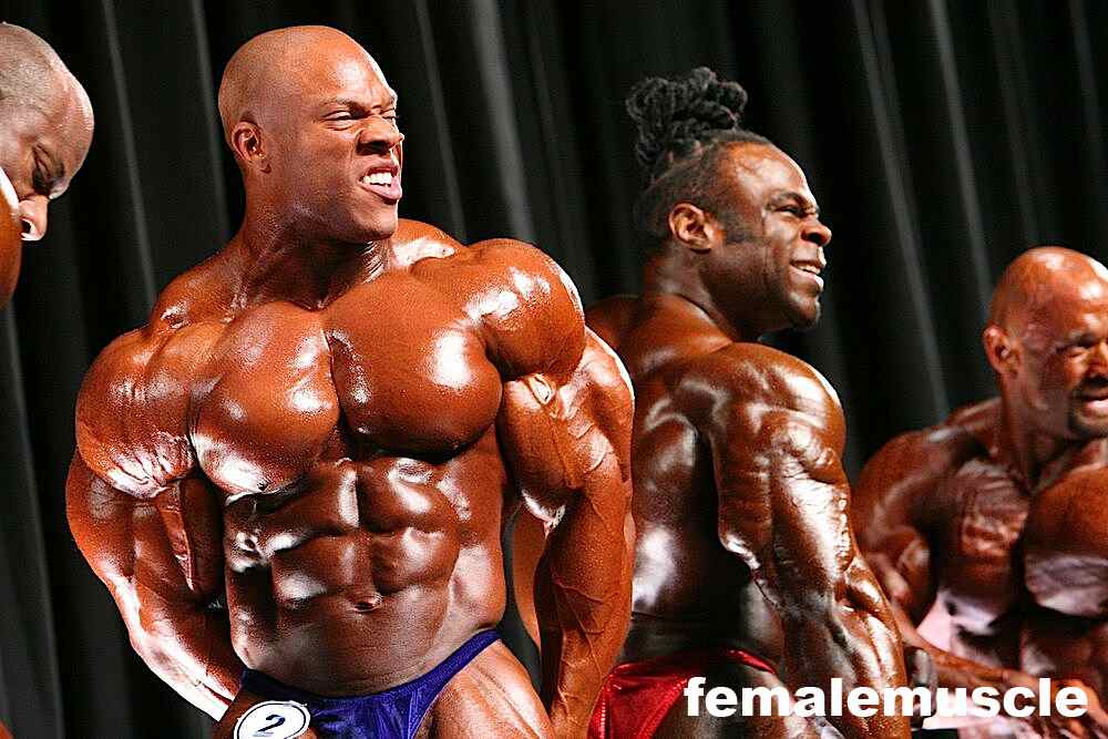 2010 Bodybuilding Images