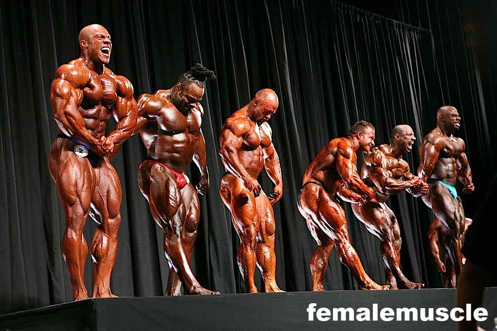 2010 Bodybuilding Images