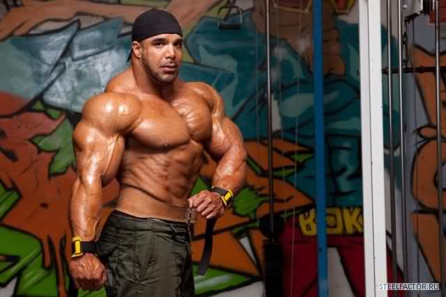 2010 Bodybuilding Images