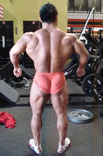 2010 Bodybuilding Images