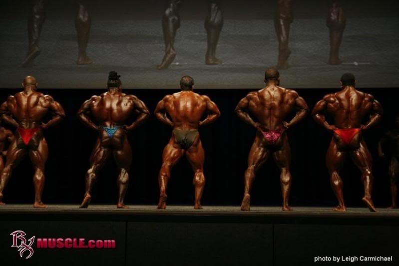 2010 Bodybuilding Images