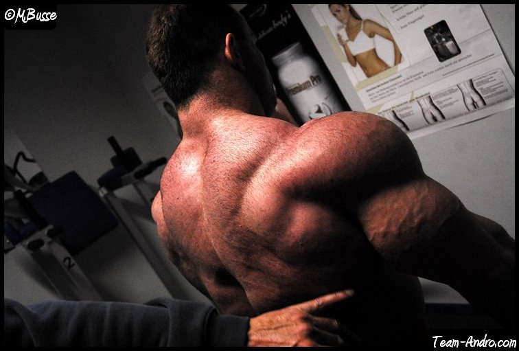 2010 Bodybuilding Images