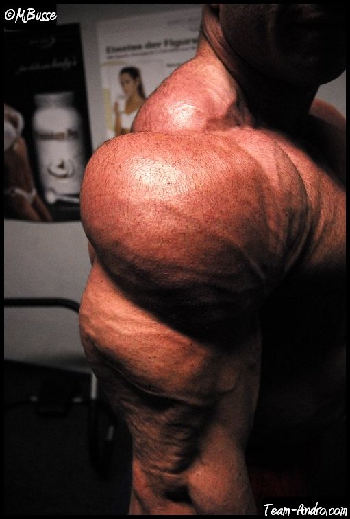 2010 Bodybuilding Images