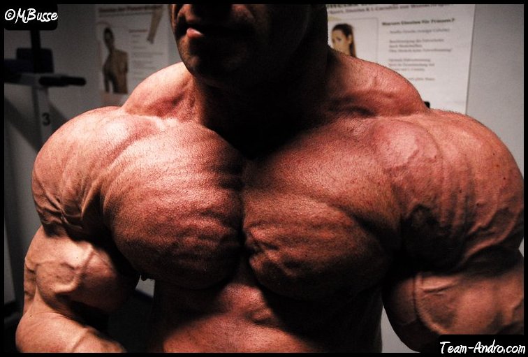 2010 Bodybuilding Images