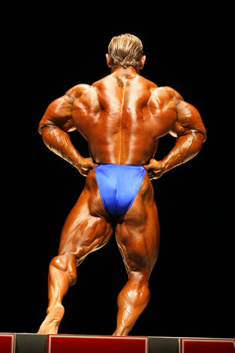 2010 Bodybuilding Images