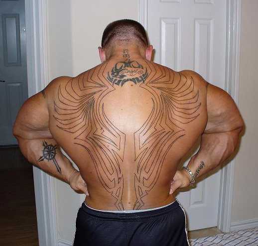 2010 Bodybuilding Images