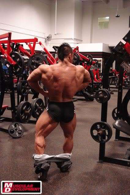 2010 Bodybuilding Images