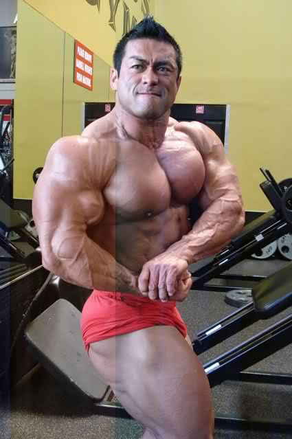 2010 Bodybuilding Images