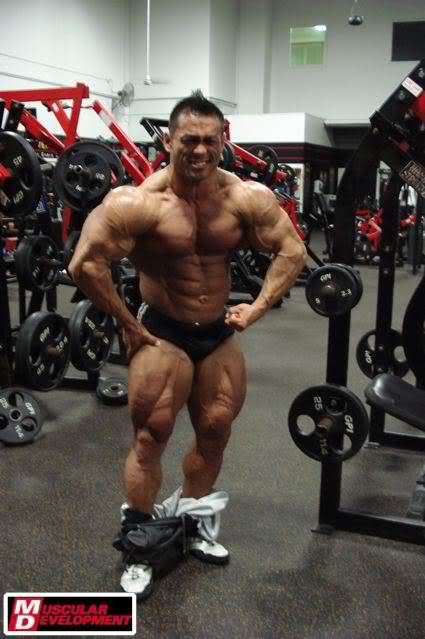 2010 Bodybuilding Images