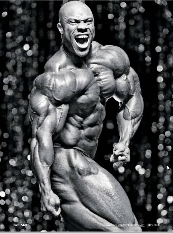 2010 Bodybuilding Images