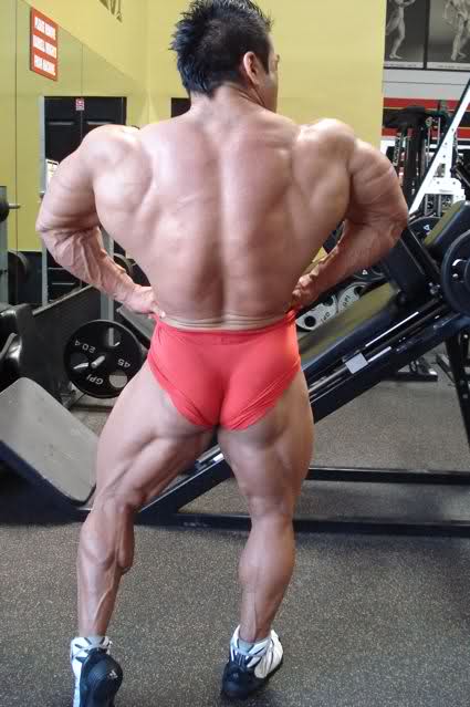 2010 Bodybuilding Images