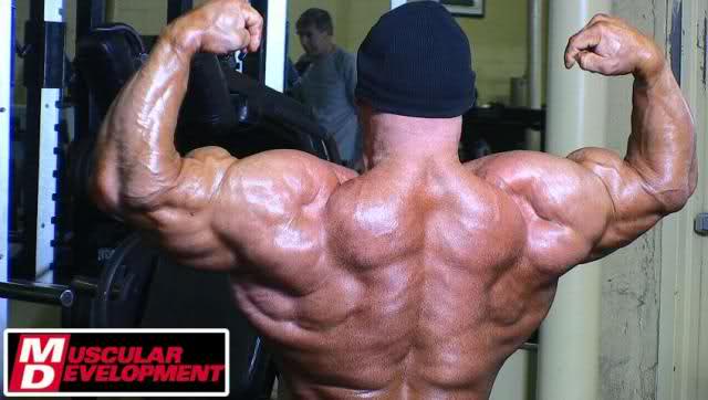 2010 Bodybuilding Images