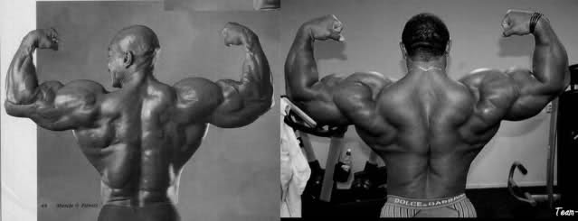 2010 Bodybuilding Images