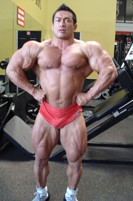 2010 Bodybuilding Images