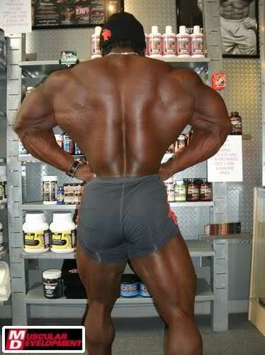 2010 Bodybuilding Images