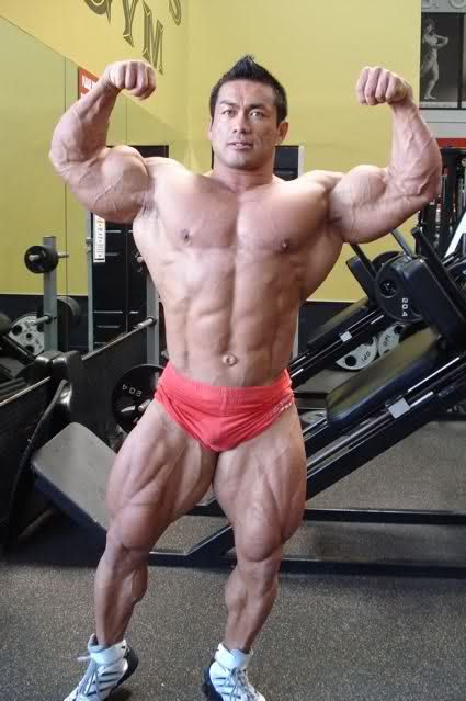 2010 Bodybuilding Images