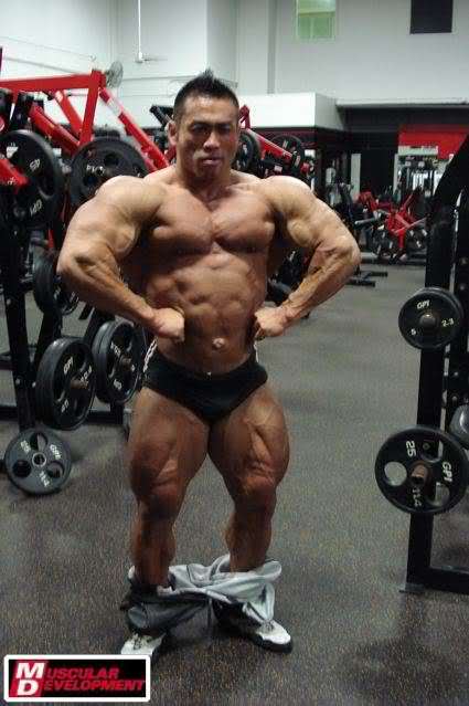 2010 Bodybuilding Images