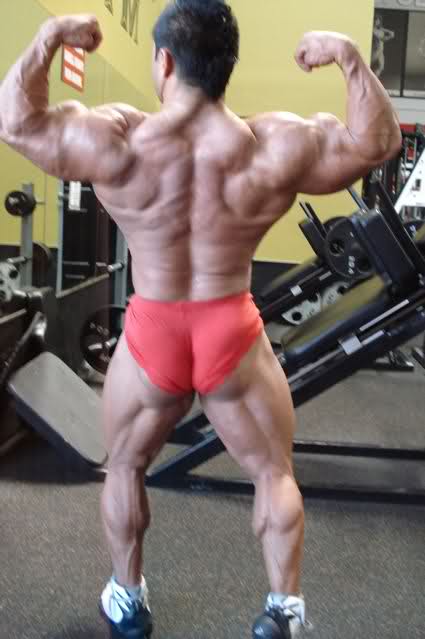 2010 Bodybuilding Images