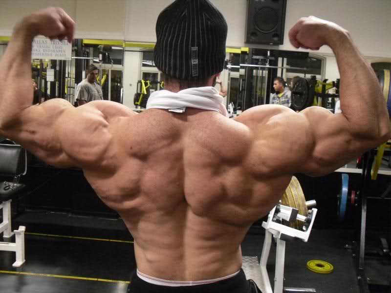 2010 Bodybuilding Images