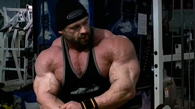 2010 Bodybuilding Images