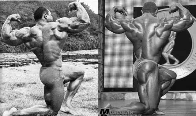 2010 Bodybuilding Images