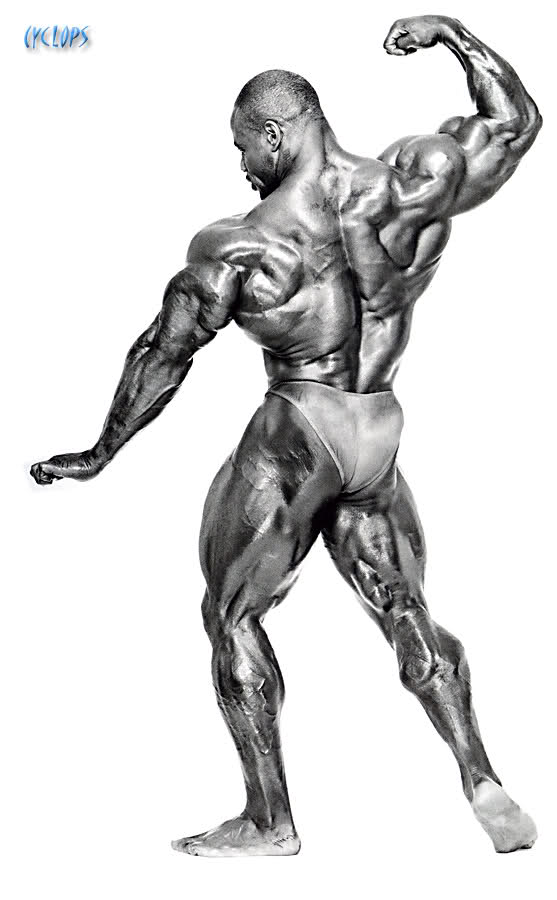 2010 Bodybuilding Images