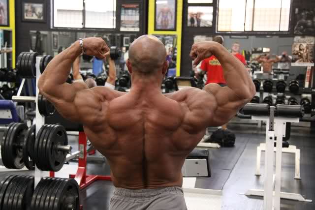 2010 Bodybuilding Images