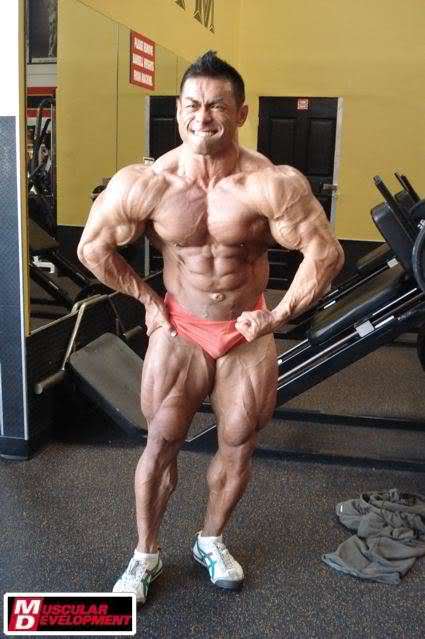 2010 Bodybuilding Images