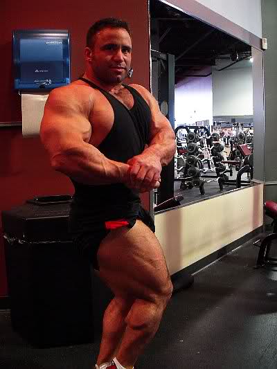 2010 Bodybuilding Images