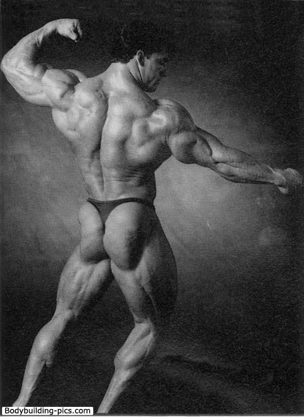 2010 Bodybuilding Images