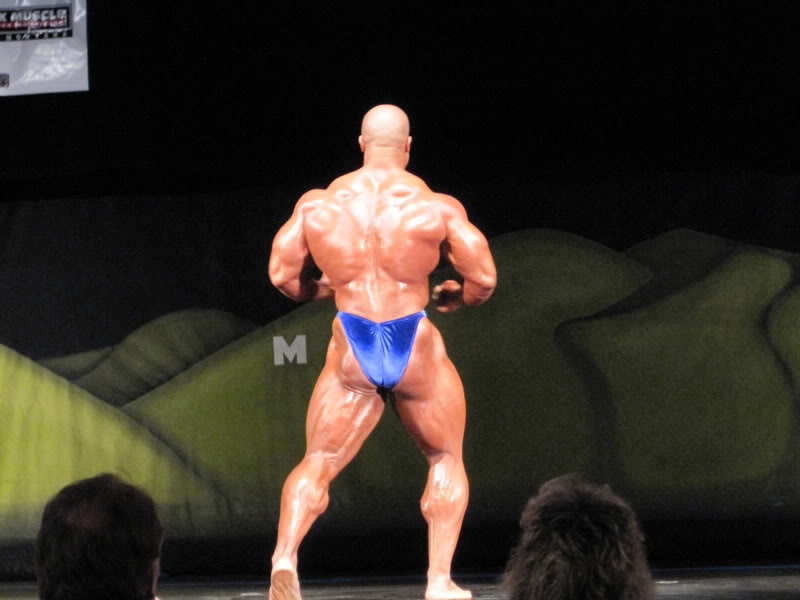 2010 Bodybuilding Images