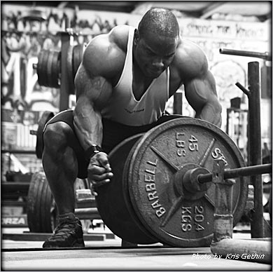 2010 Bodybuilding Images