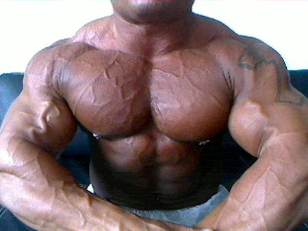 2010 Bodybuilding Images