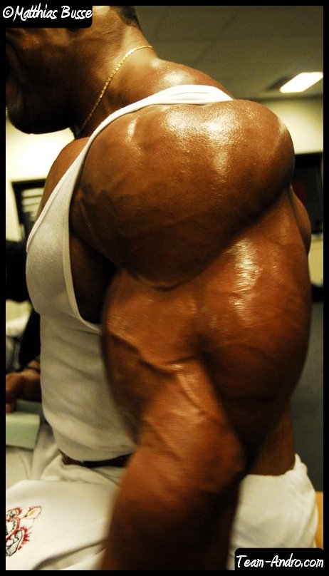 2010 Bodybuilding Images