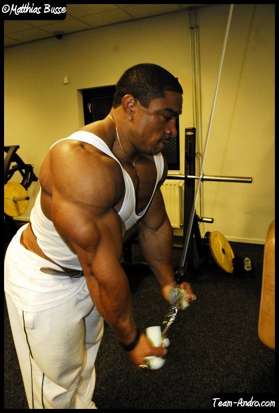 2010 Bodybuilding Images