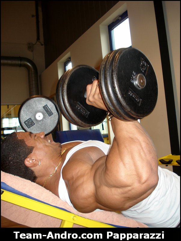 2010 Bodybuilding Images