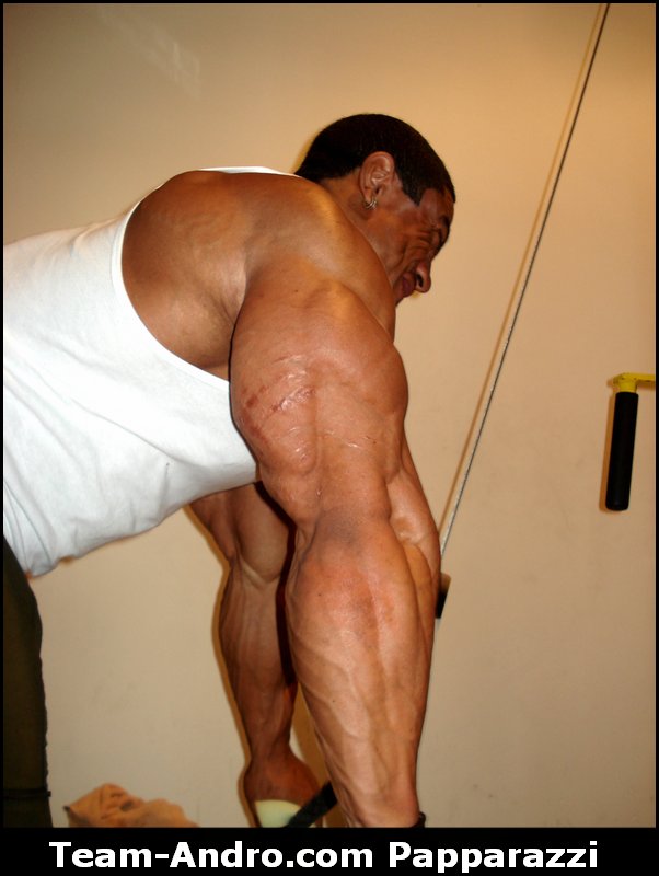 2010 Bodybuilding Images