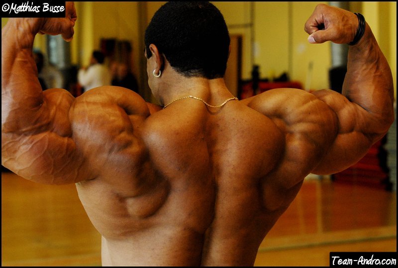 2010 Bodybuilding Images