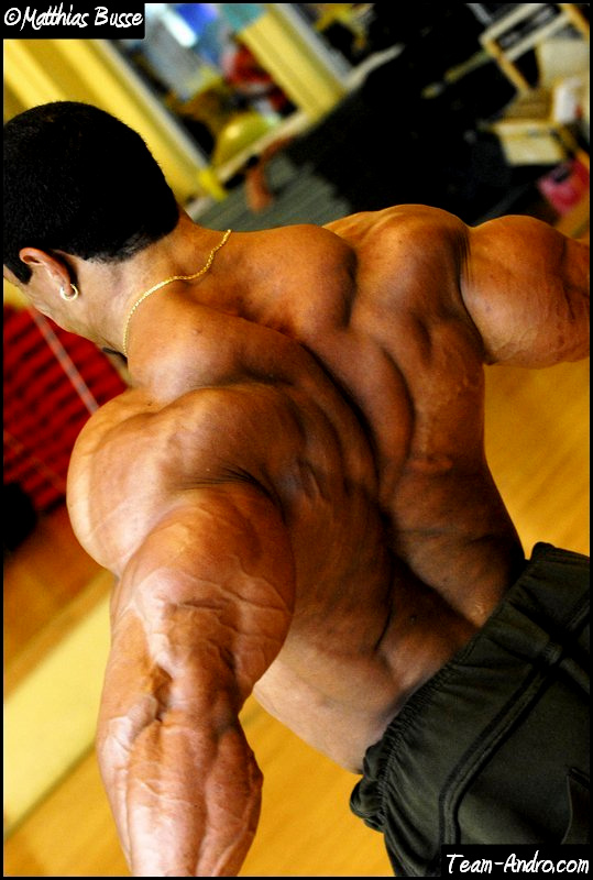 2010 Bodybuilding Images