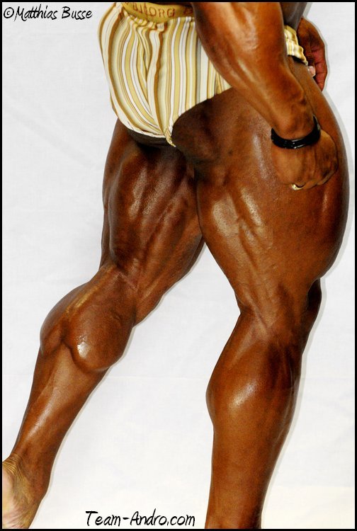 2010 Bodybuilding Images