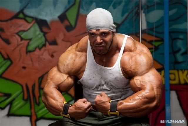 2010 Bodybuilding Images