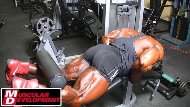 2010 Bodybuilding Images