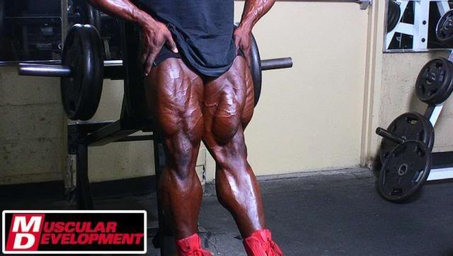 2010 Bodybuilding Images