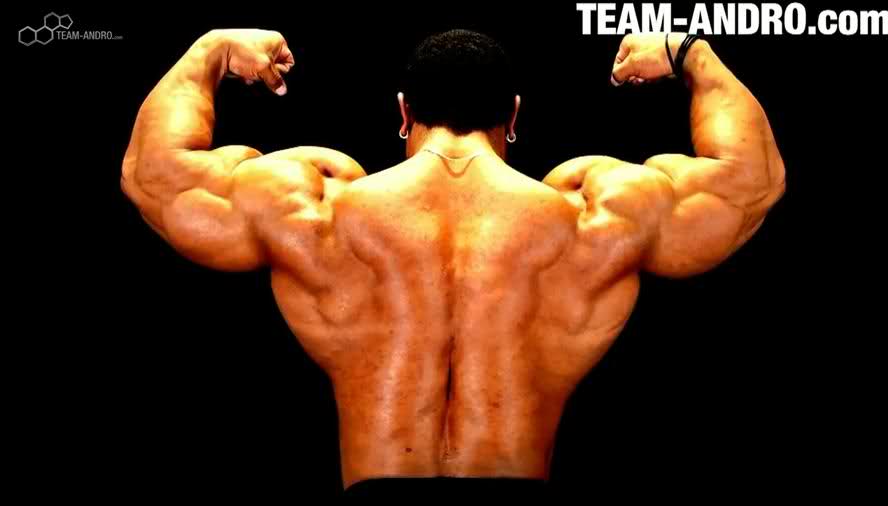 2010 Bodybuilding Images