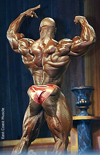 2010 Bodybuilding Images