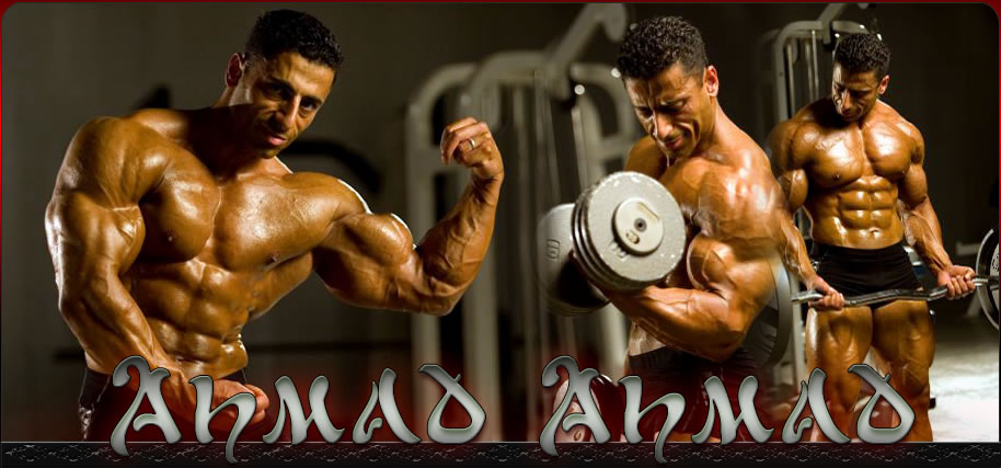 2010 Bodybuilding Images