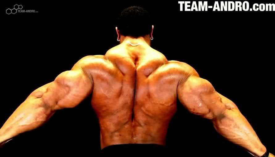 2010 Bodybuilding Images