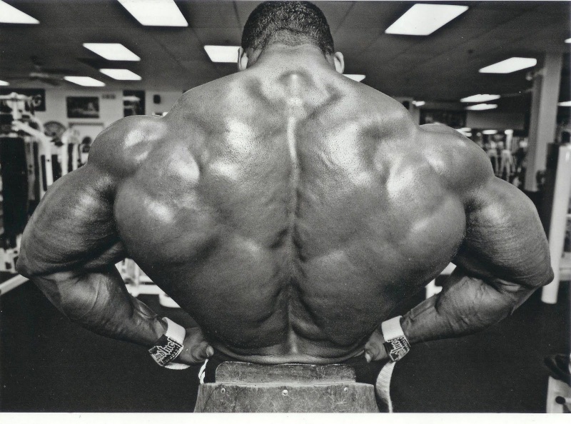 2010 Bodybuilding Images