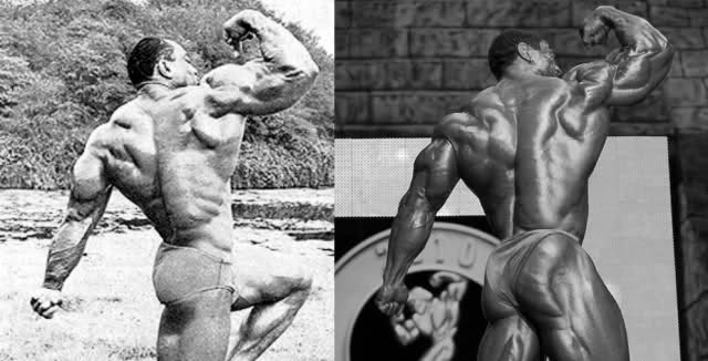 2010 Bodybuilding Images